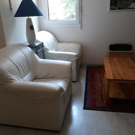 Apartment T2 Les Bains Pyrenees Ariegeoises Aulus-les-Bains